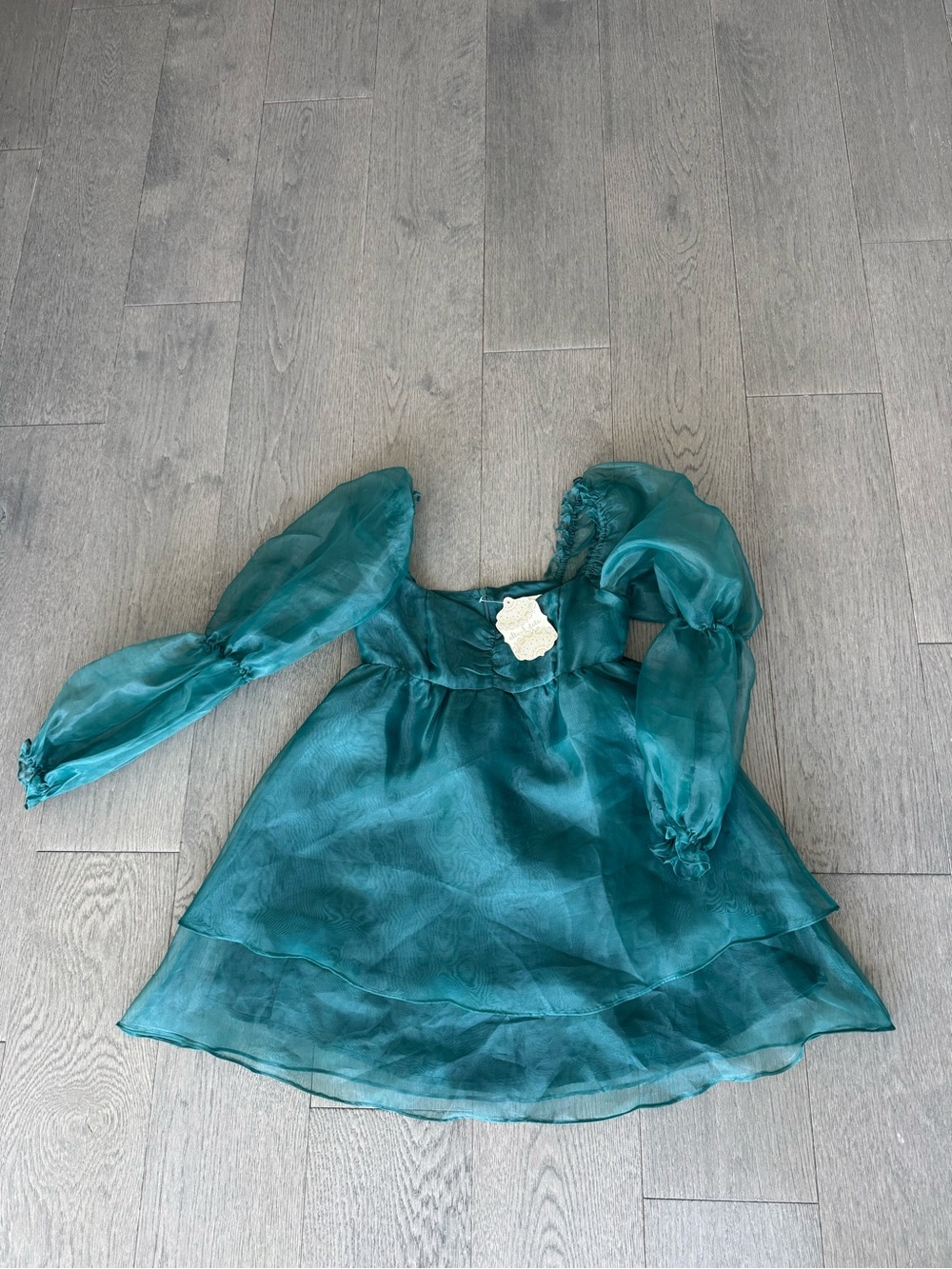 Altar’d State Organza dress